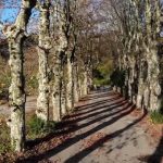 İstanbul’da ‘kartpostallık sonbahar’ mest etti