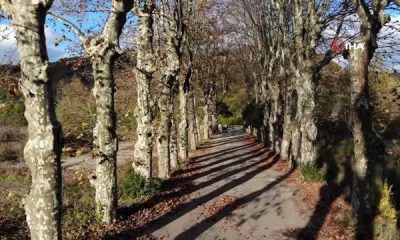 İstanbul’da ‘kartpostallık sonbahar’ mest etti