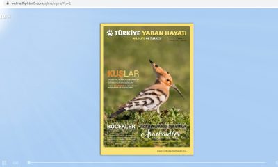 Türkiye’nin yaban hayat dergisi çıktı.